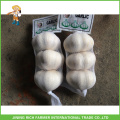 Jinxiang China Knoblauch frischen reinen weißen Knoblauch &amp; normalen weißen Knoblauch 3P 4P 5P Mesh Bag 10KG Karton